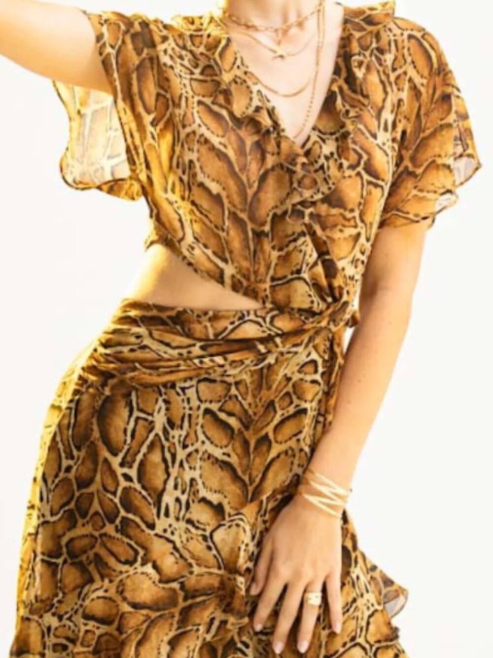 Snake Print ZARA Ruffle Dress